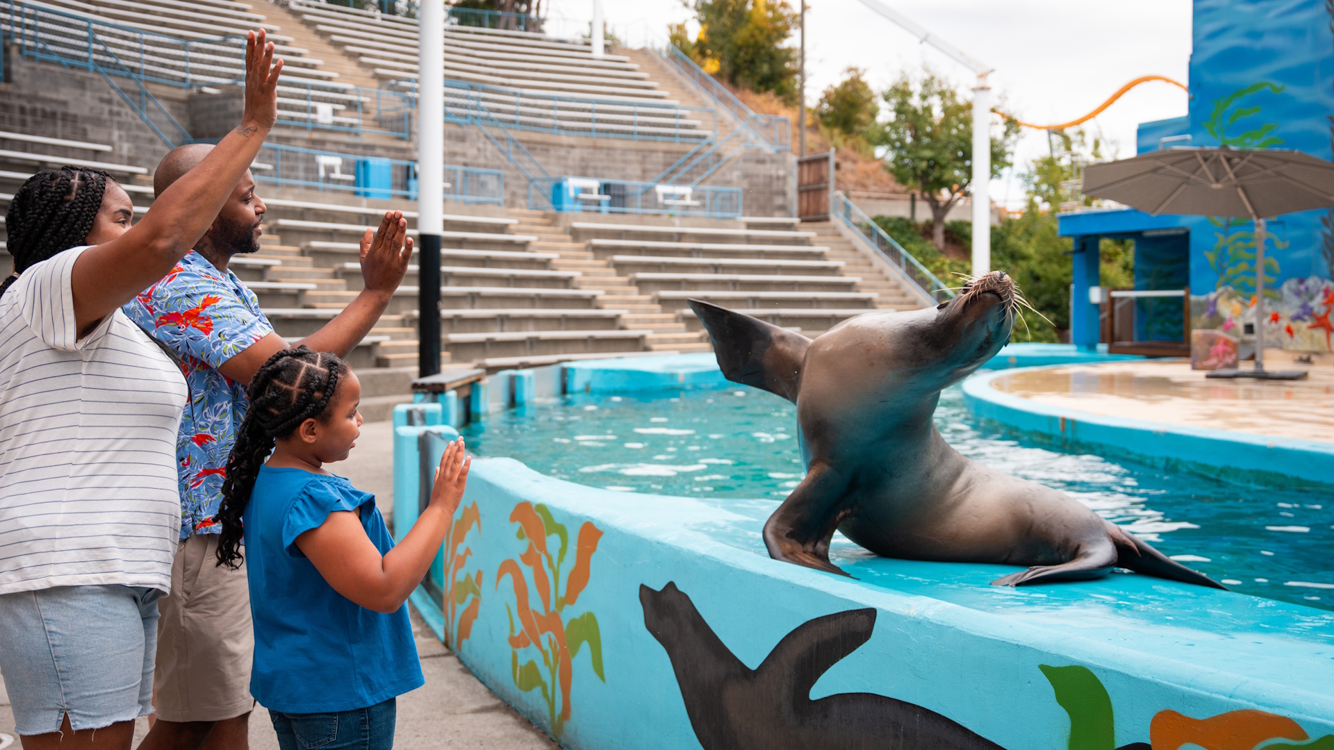 Six Flags Discovery Kingdom - Sealion