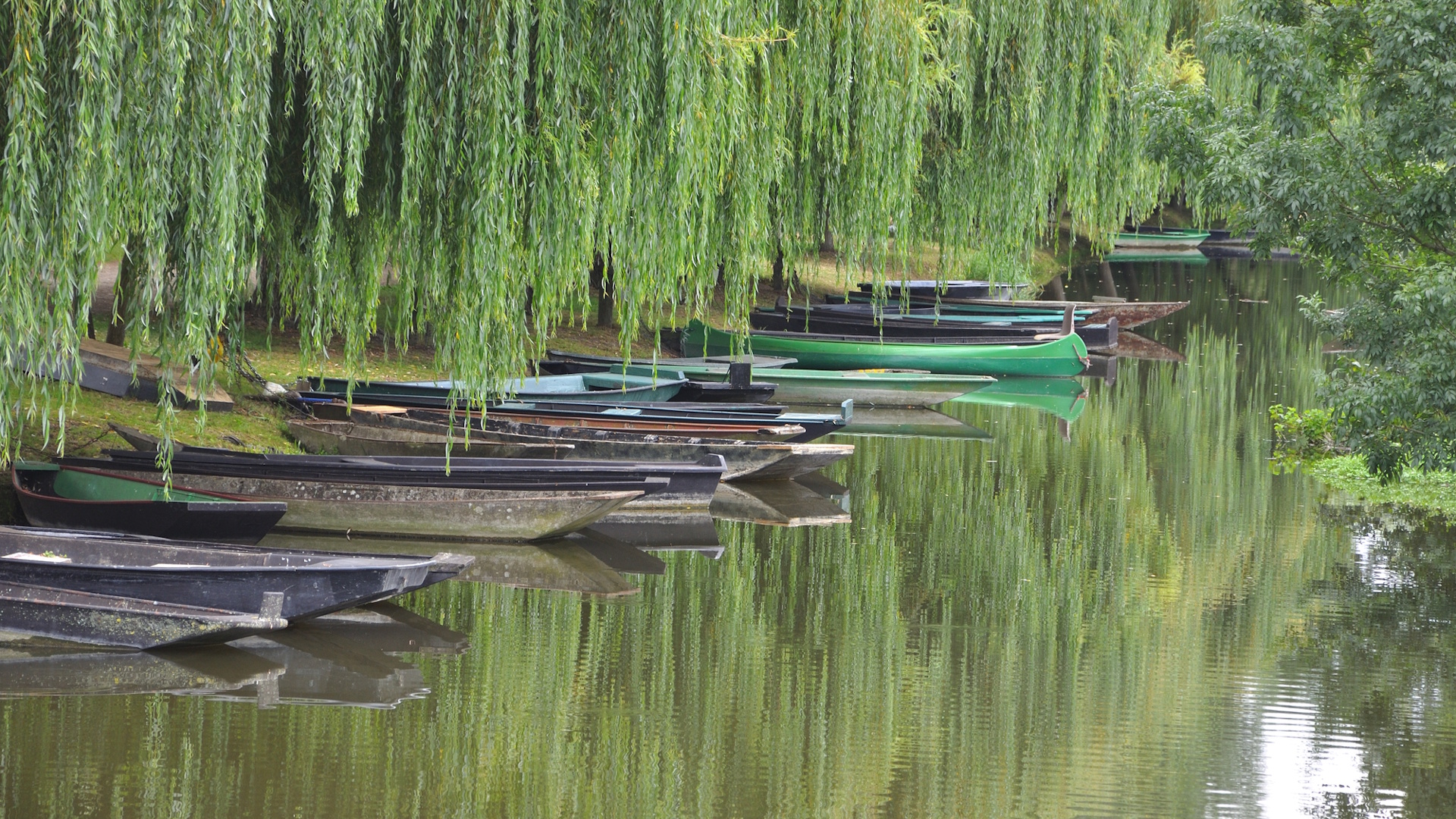 Marais Poitevin (known as Green Venice) Near Futuroscope