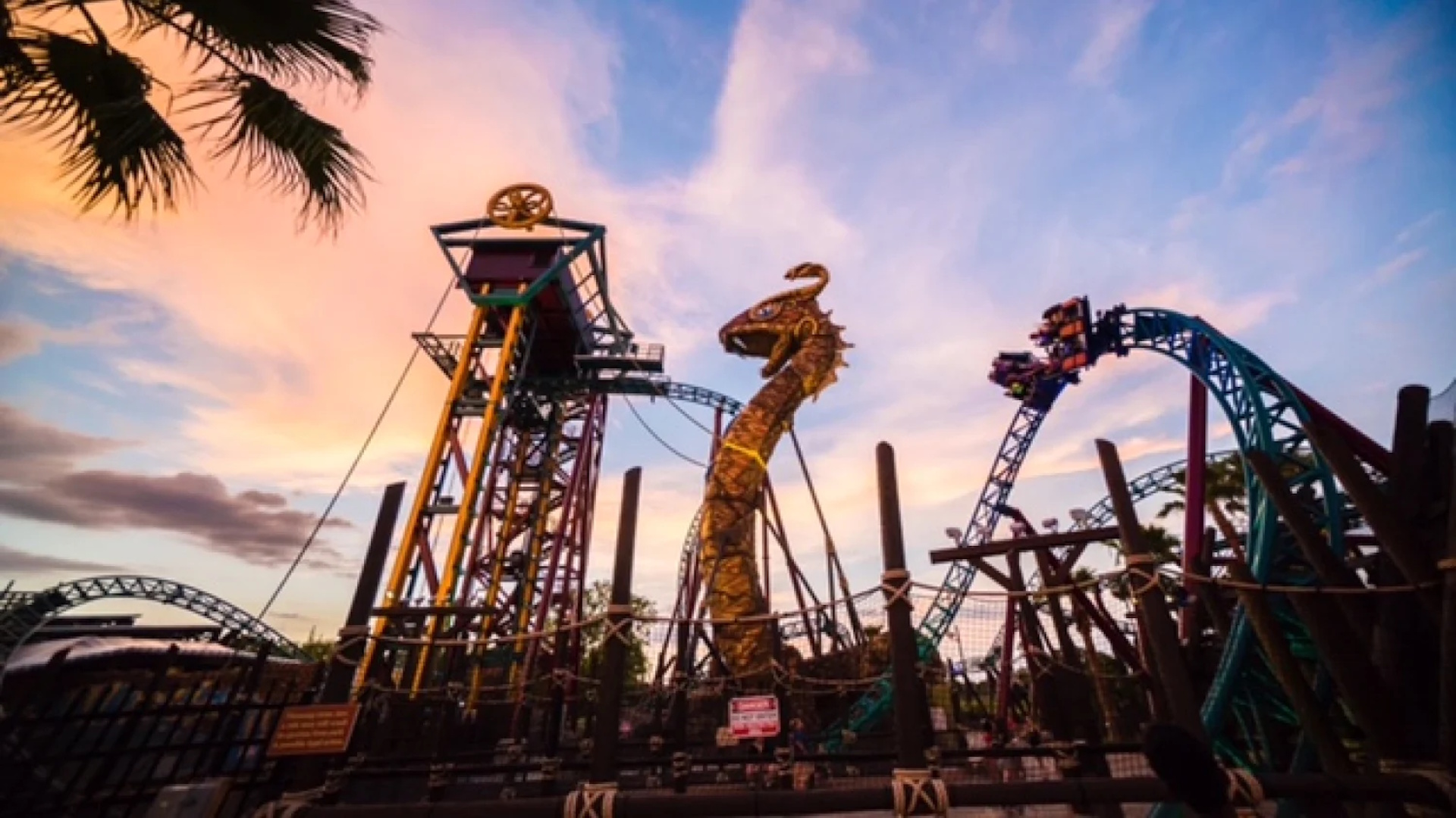 Busch Gardens Tampa Bay - Cobra's Curse at Dusk