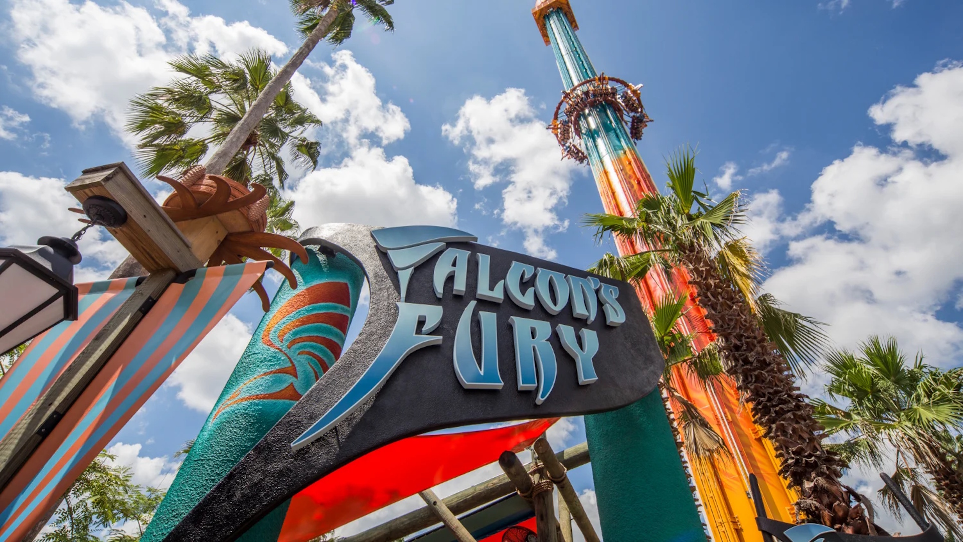 Busch Gardens Tampa Bay - Falcon's Fury