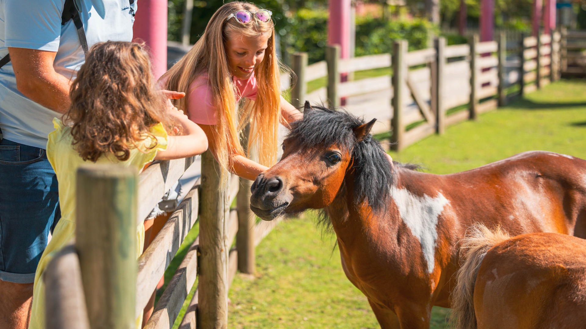 Parc Bagatelle - The Little Friends' Farm